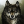 Growl