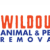 Wildout